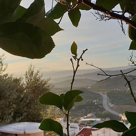Mirador Del Olivar Olvera Buitenkant foto