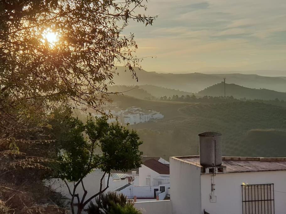 Mirador Del Olivar Olvera Buitenkant foto